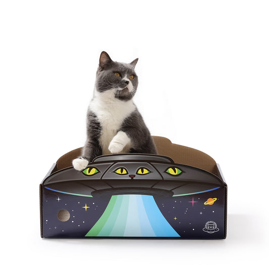 Cat sitting in the ufo cat scratcher box