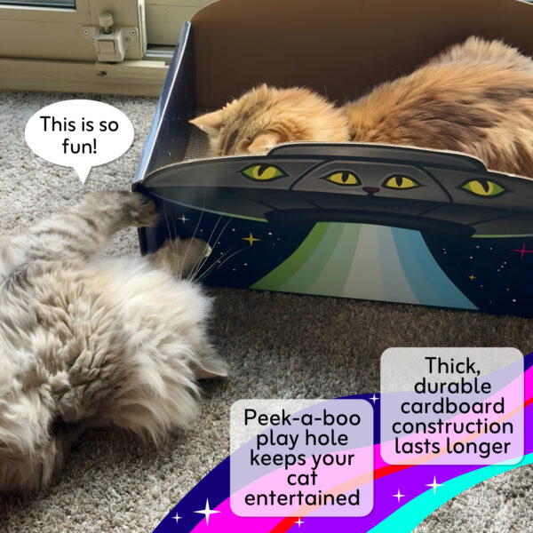 listing_photo_play 2 cats playing with the play hole inside the UFO scratcher box