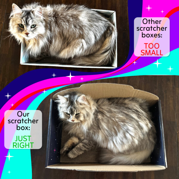 listing_photo_size_compare UFO Cat Scratcher Box